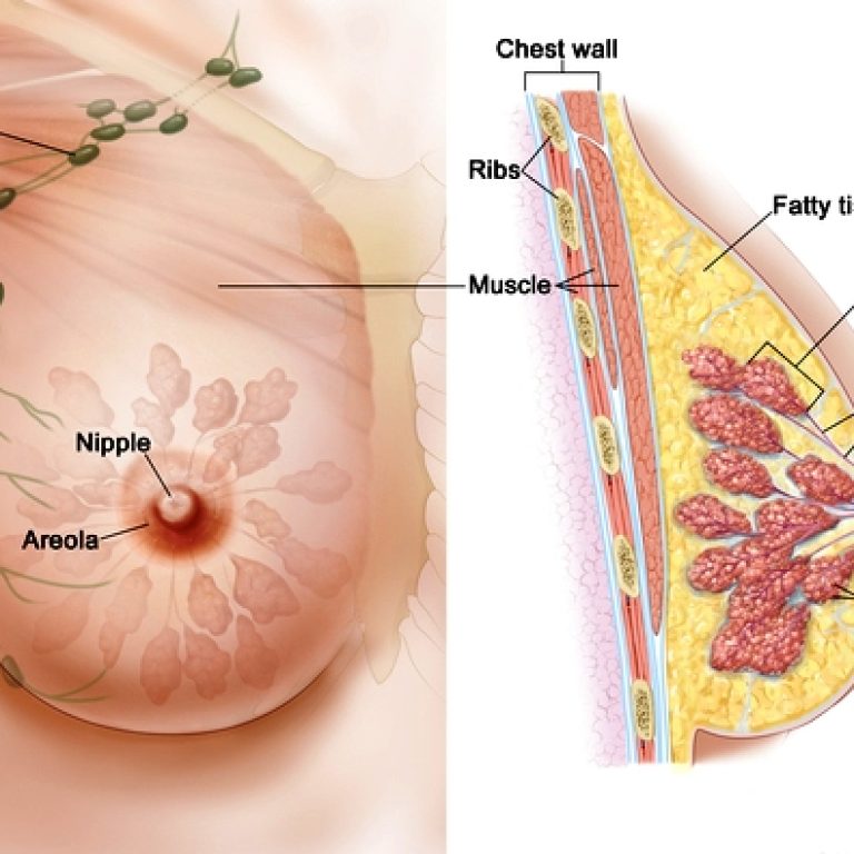 Created for the National Cancer Institute, http://www.cancer.gov